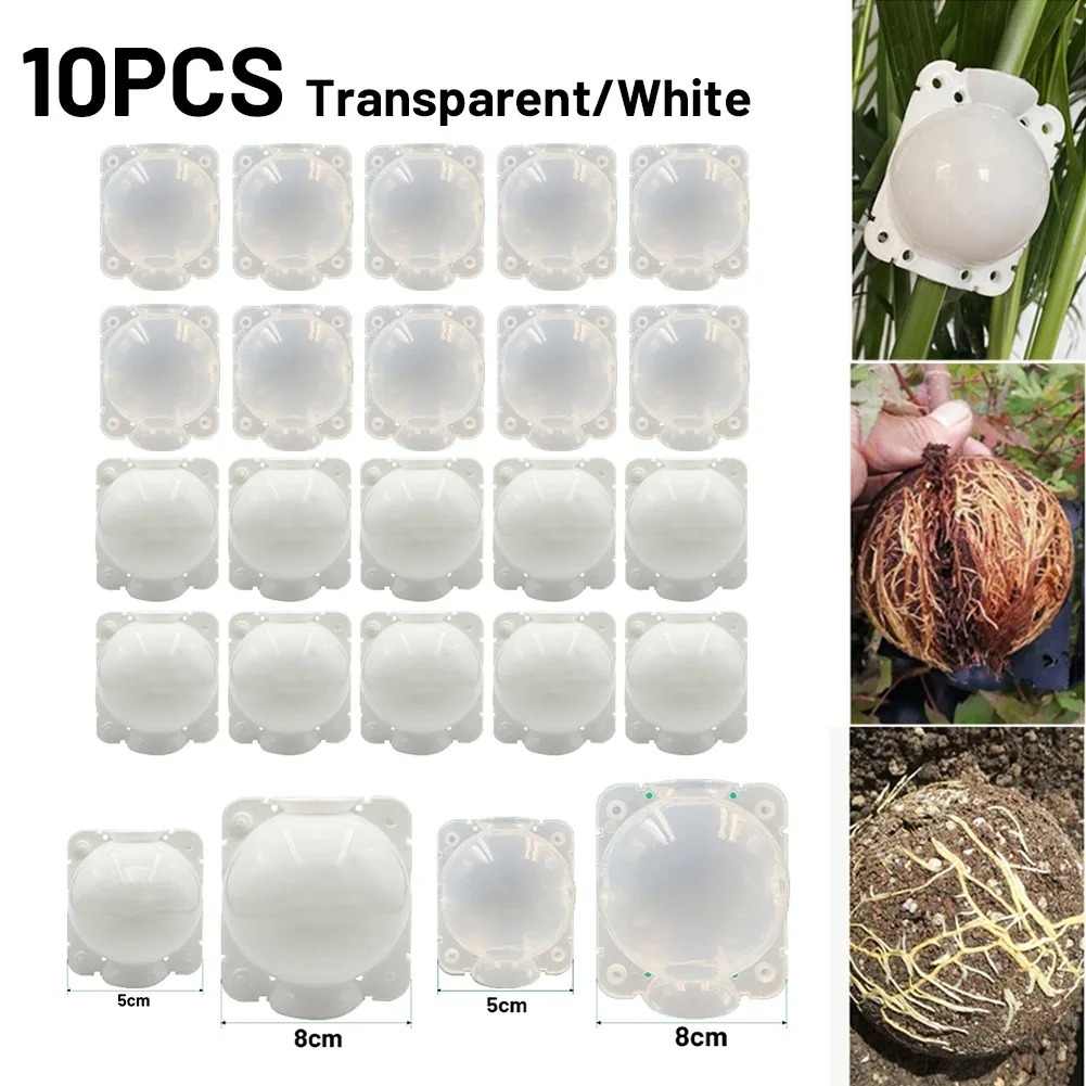 Plant Growth Regulator - 10pcs 5/8/12cm Plant Root Growing Box