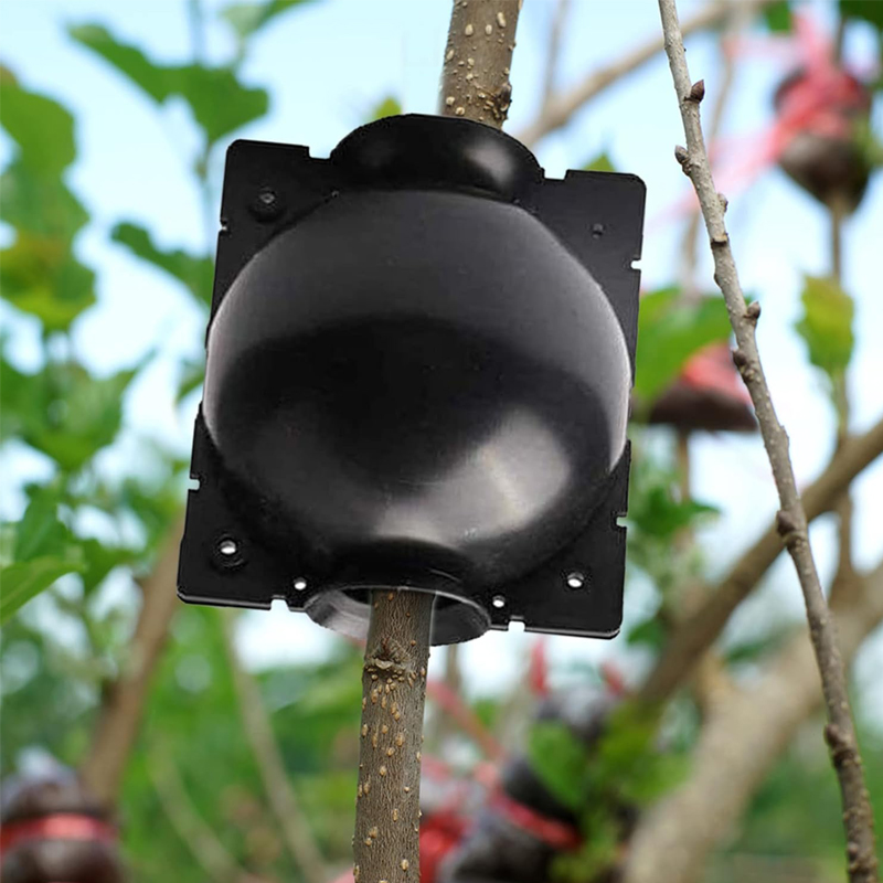 20Pcs Reusable Plant Root Grow - Plant Growth Regulator recension och pris