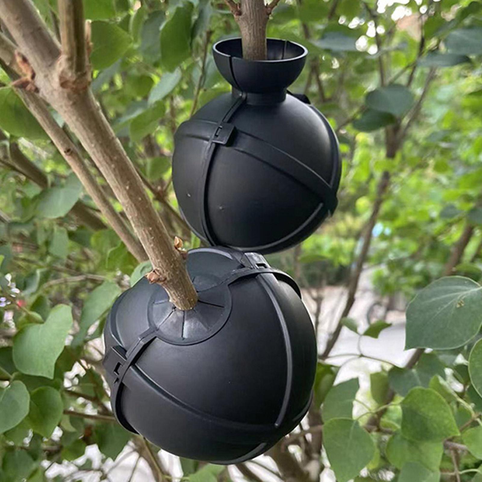 Plant Rooting Ball Grafting Bo - Plant Growth Regulator recension och pris