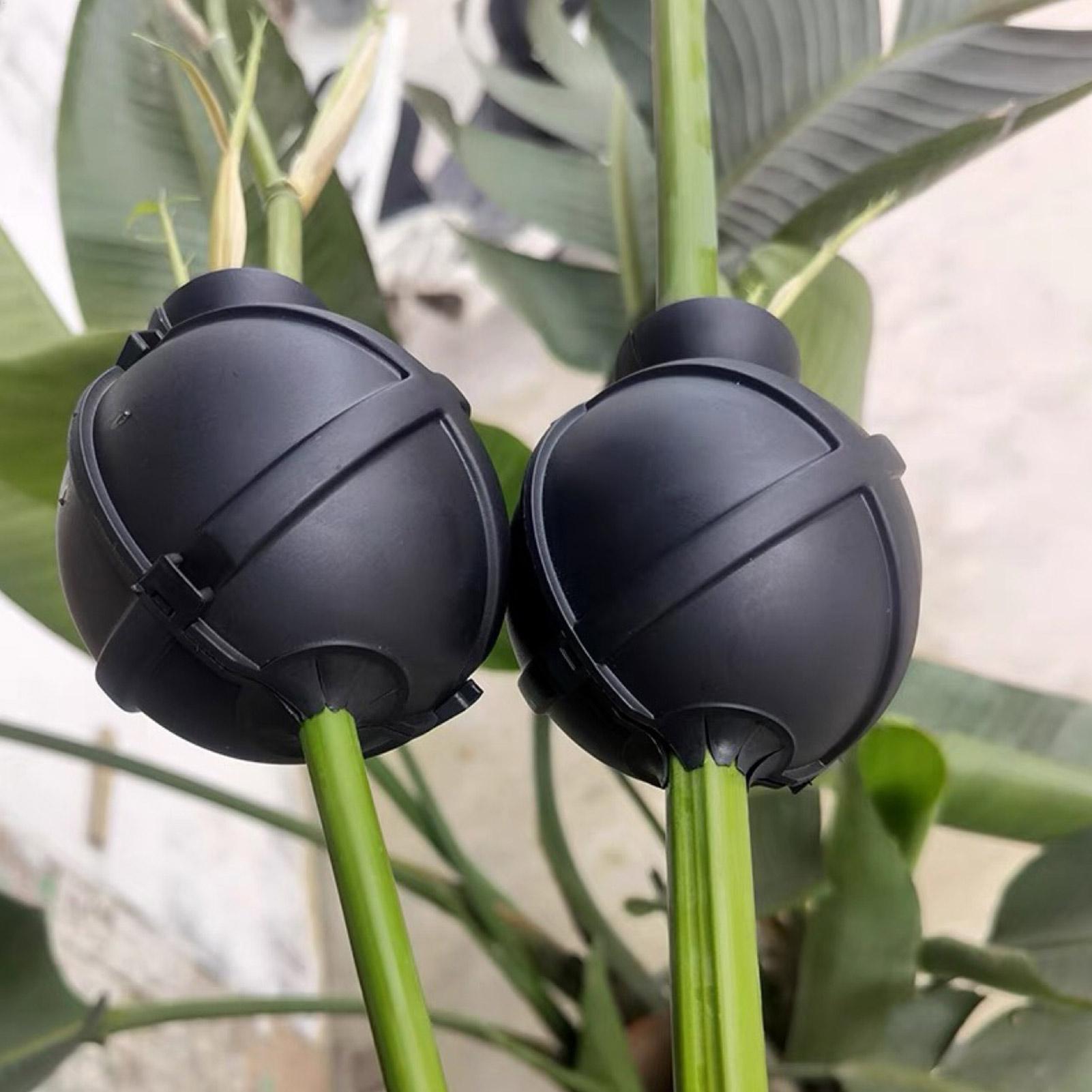 Plant Rooting Ball Grafting Bo - Plant Growth Regulator recension och pris