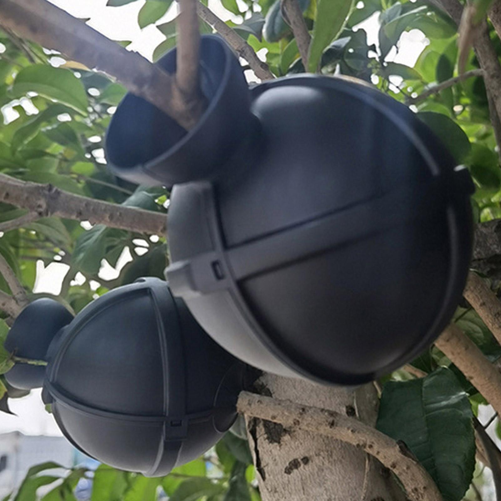 Plant Rooting Ball Grafting Bo - Plant Growth Regulator recension och pris
