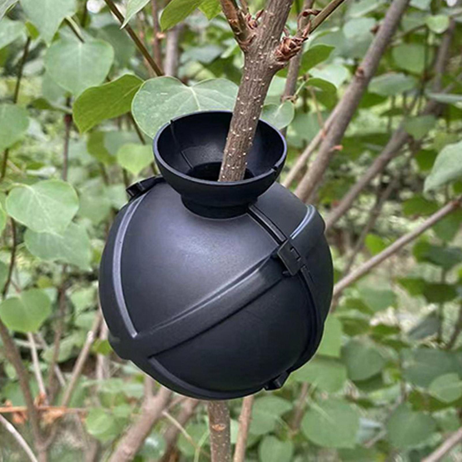 Plant Rooting Ball Grafting Bo - Plant Growth Regulator recension och pris