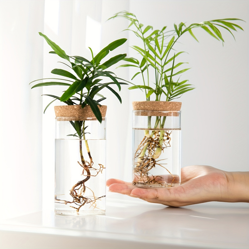 1pc, Hydroponics Plants Deskto - Plant Growth Regulator recension och pris