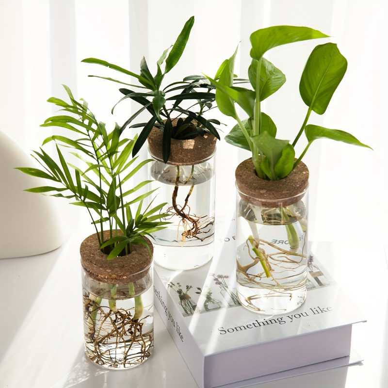 1pc, Hydroponics Plants Deskto - Plant Growth Regulator recension och pris