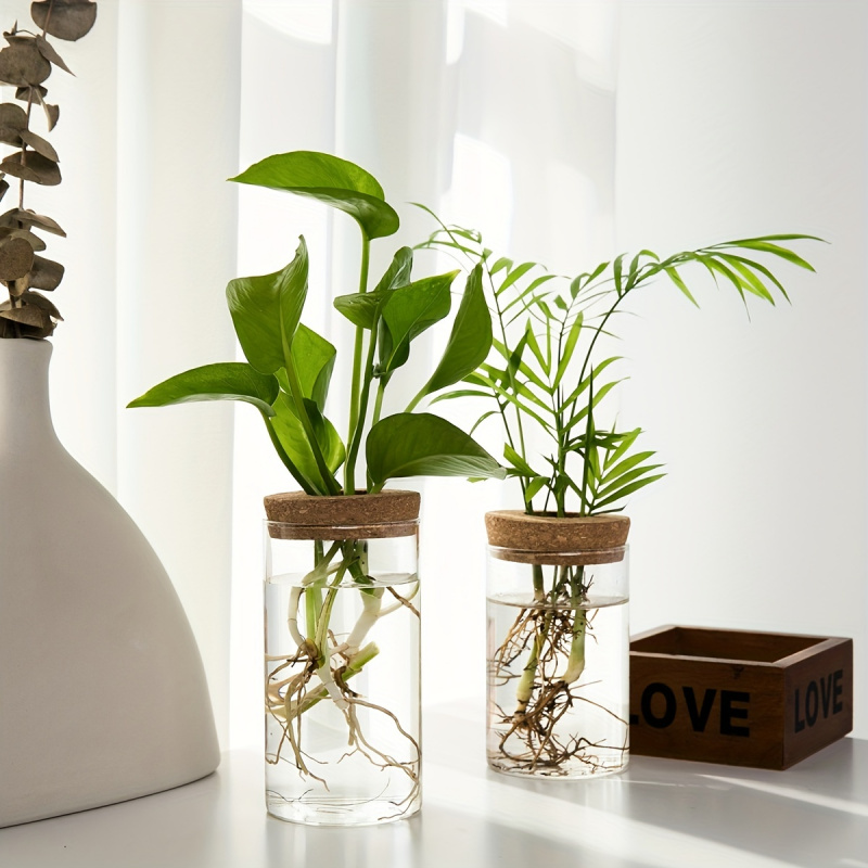 1pc, Hydroponics Plants Deskto - Plant Growth Regulator recension och pris