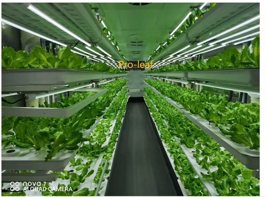 f Greenhouse Agricultural Equi - Farming Agriculture Equipment recension och pris