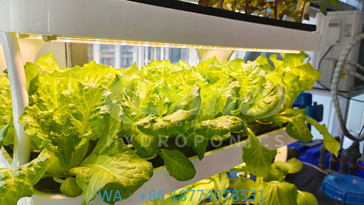 c Agriculture Machine to Growi - Farming Agriculture Equipment recension och pris