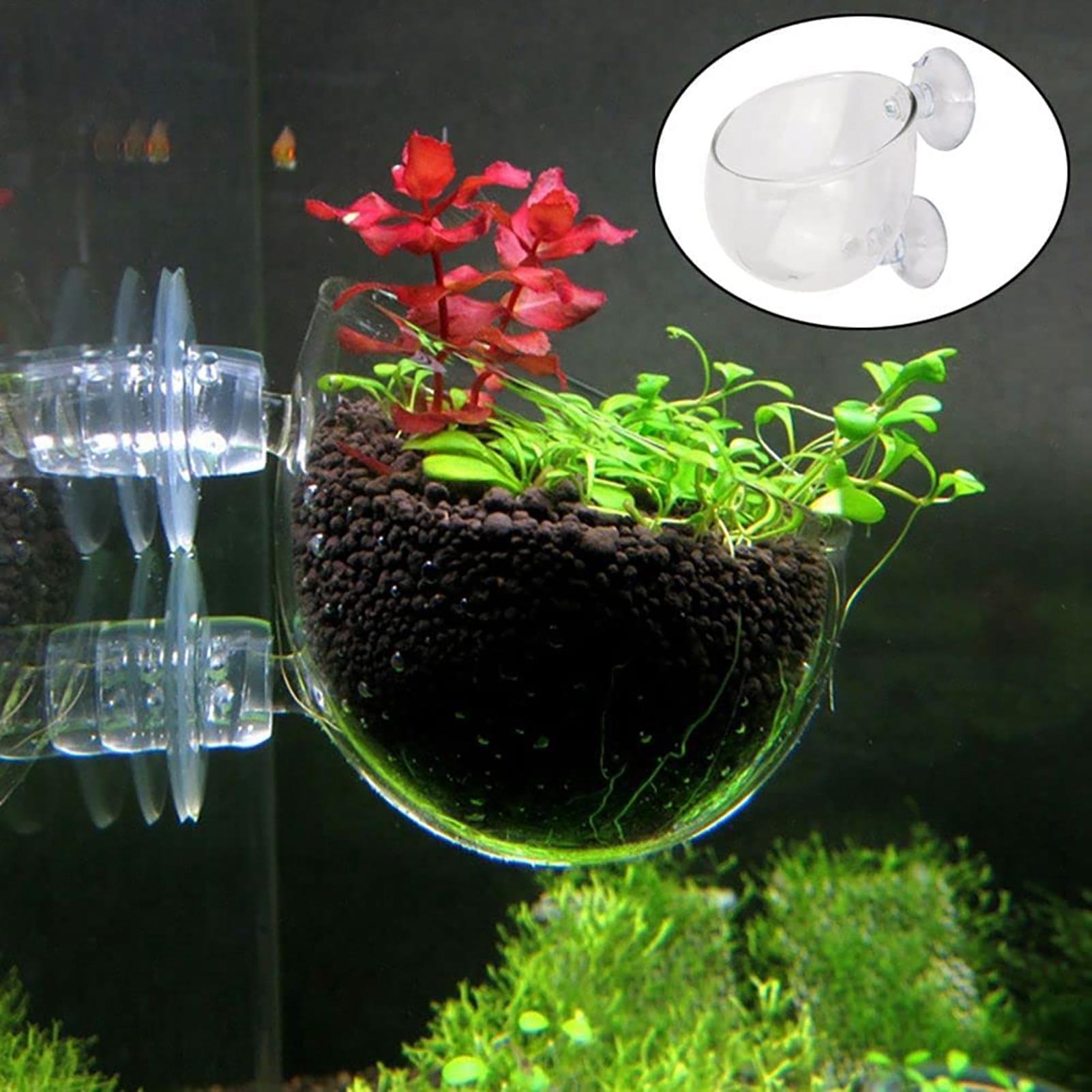 Aquatic Plant Pot Clear Acryli - Plant Growth Regulator recension och pris