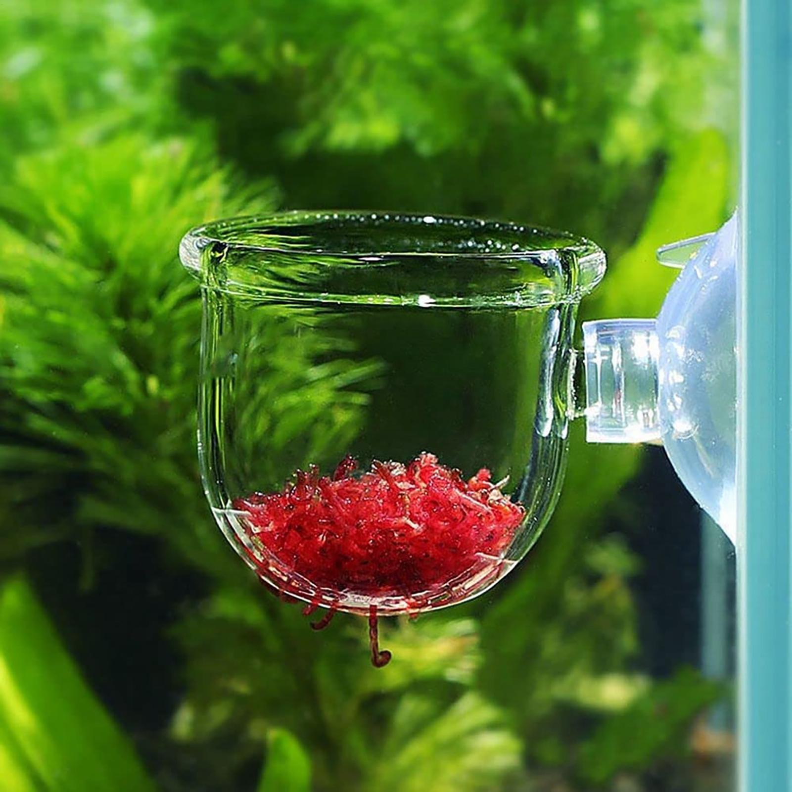 Aquatic Plant Pot Clear Acryli - Plant Growth Regulator recension och pris