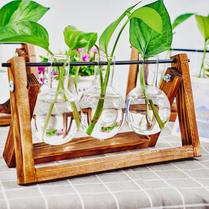 Tabletop Glass Planter Propaga - Plant Growth Regulator recension och pris