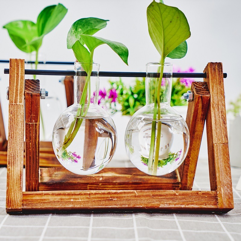 Tabletop Glass Planter Propaga - Plant Growth Regulator recension och pris
