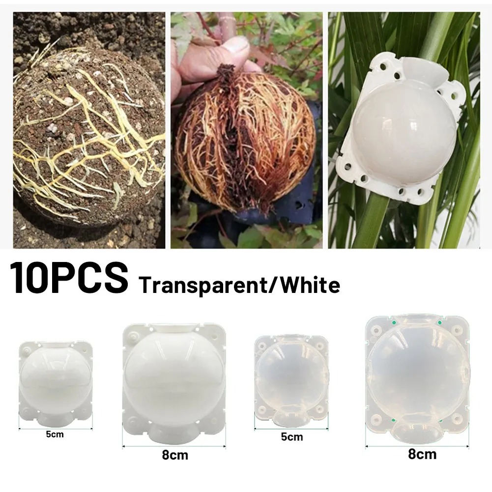 10pcs 5/8/12cm Plant Root Grow - Plant Growth Regulator recension och pris