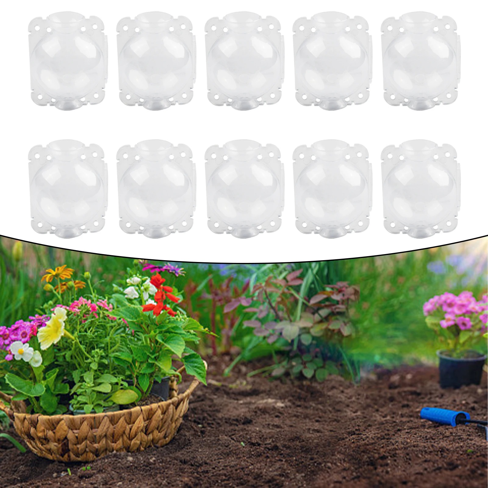 10pcs 5/8/12cm Plant Root Grow - Plant Growth Regulator recension och pris